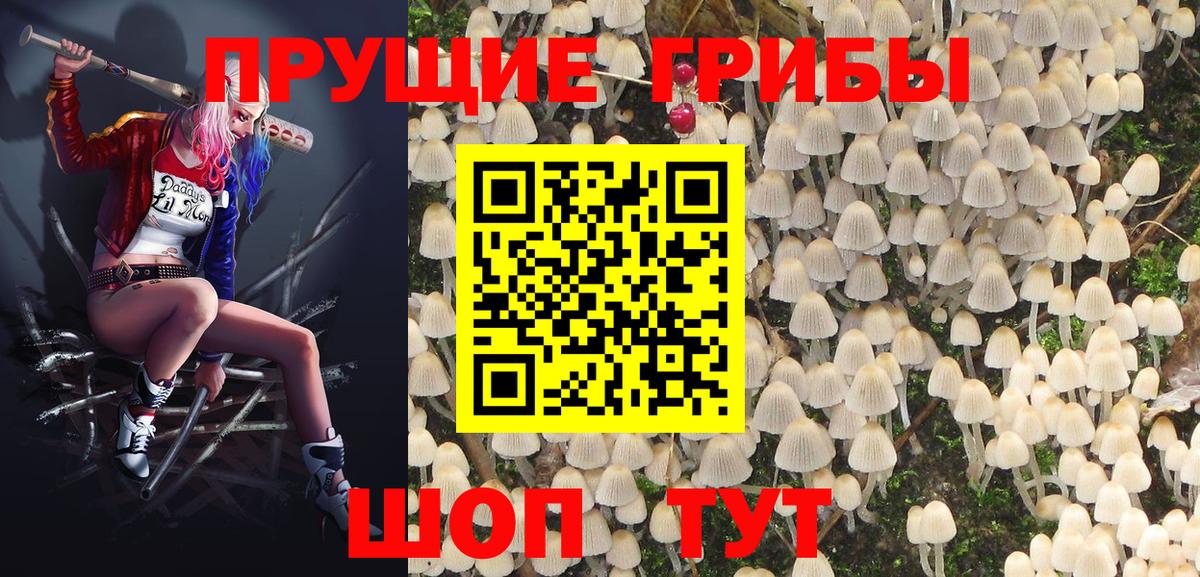 Галлюциногенные грибы MAGIC MUSHROOMS Обнинск