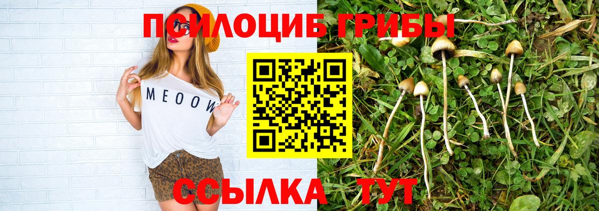 Галлюциногенные грибы мицелий  купить наркотик  Галлюциногенные грибы Psilocybine cubensis  Обнинск  Вход с VPN 